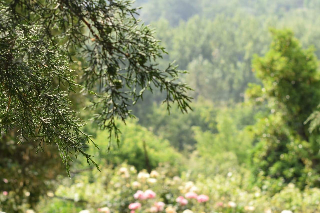 Villa Margaridi 귀마레스 외부 사진